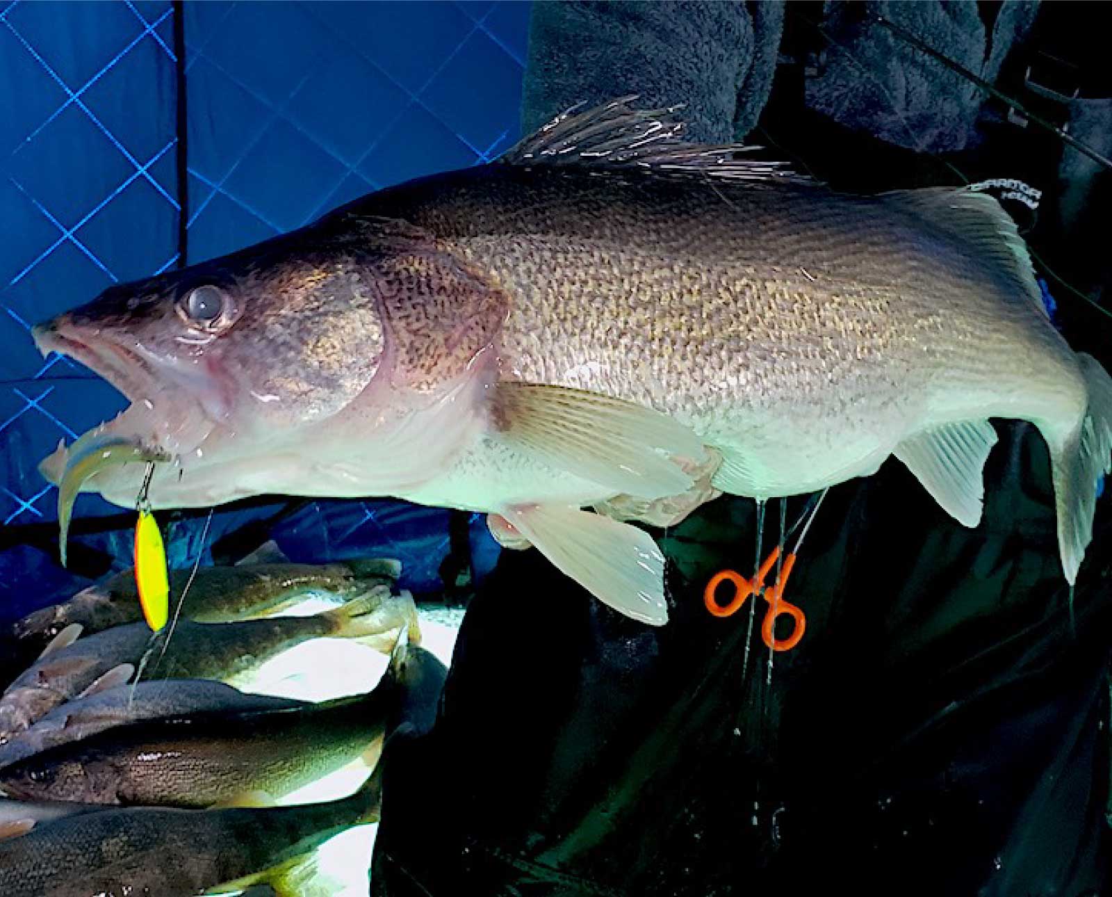 Finding Walleye on Lake Erie in the Winter - Ice Fishing Tips