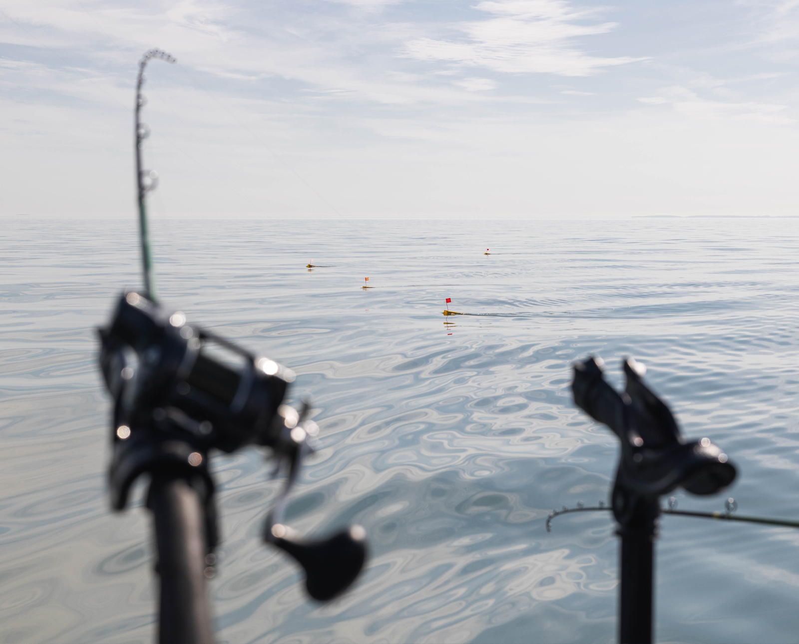 Understanding Water Clarity to Catch More Walleye on Lake Erie