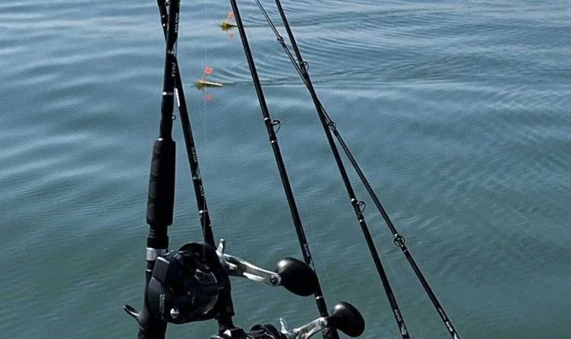 Rods set up to catch walleye on a tournament boat