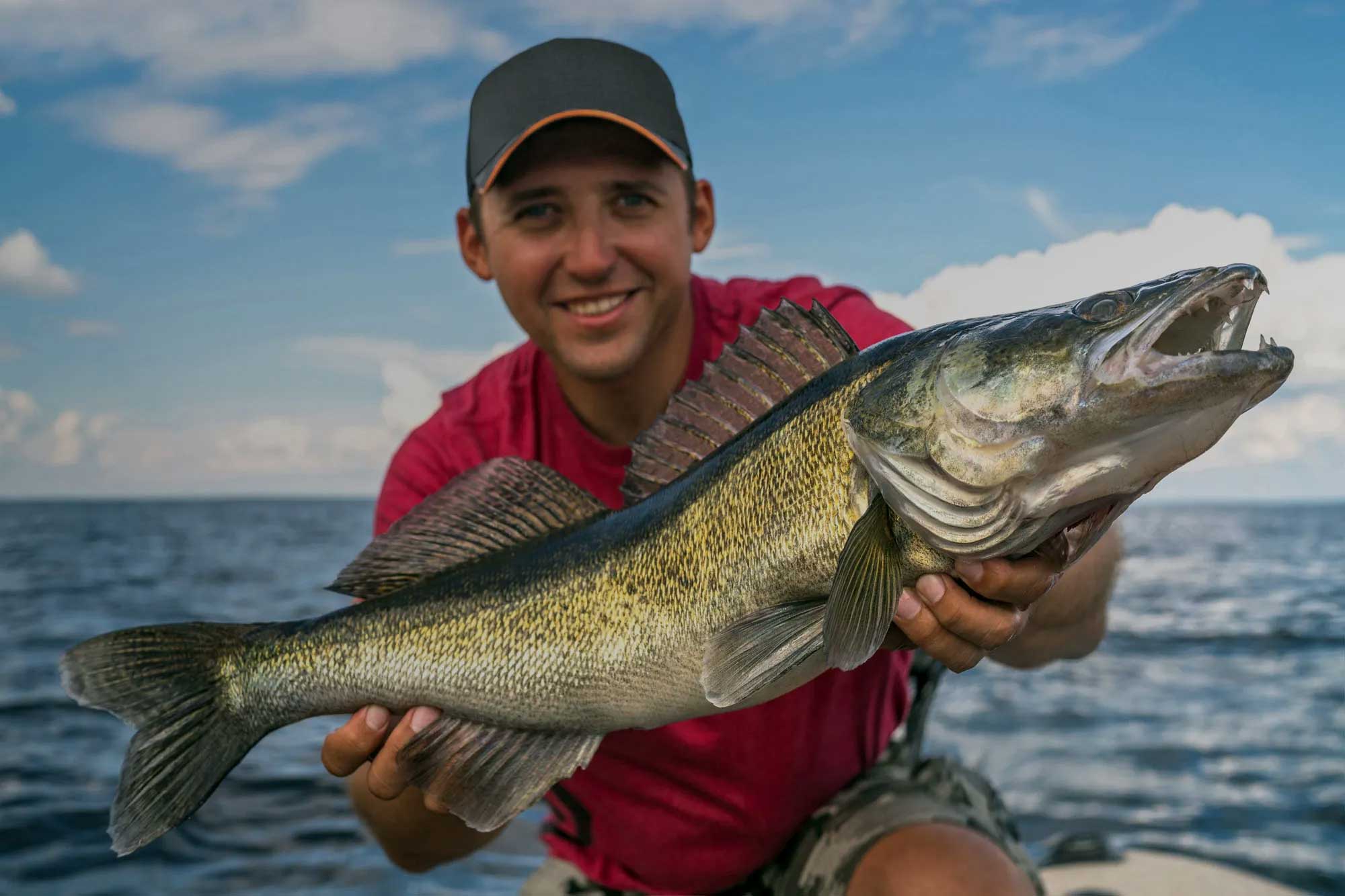 Walleye-catch-About-us
